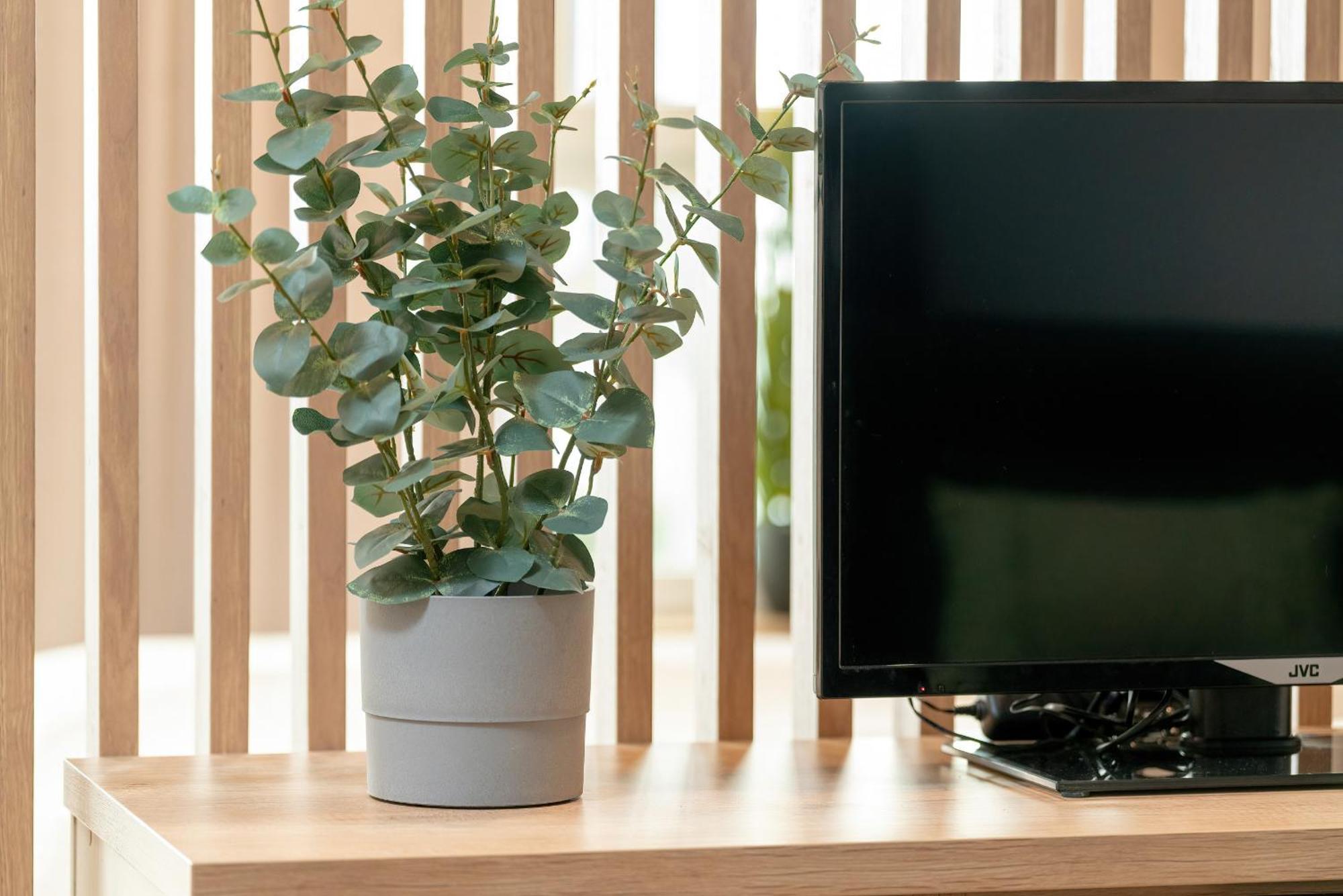 Cozy With Parking In By Renters Apartamento *